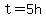 t=5h