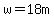 w=18m