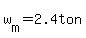 w%5Bm%5D=2.4ton