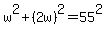w%5E2%2B%282w%29%5E2=55%5E2