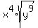 x%5E4%2Asqrt%28y%5E9%29