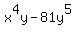 \"x%5E4y-81y%5E5+\"