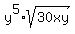 y%5E5%2Asqrt%2830xy%29